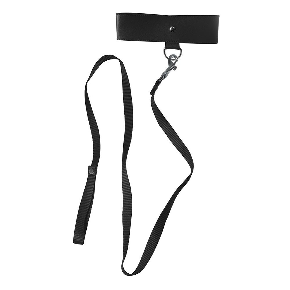 collier-et-laisse-sex-mischief